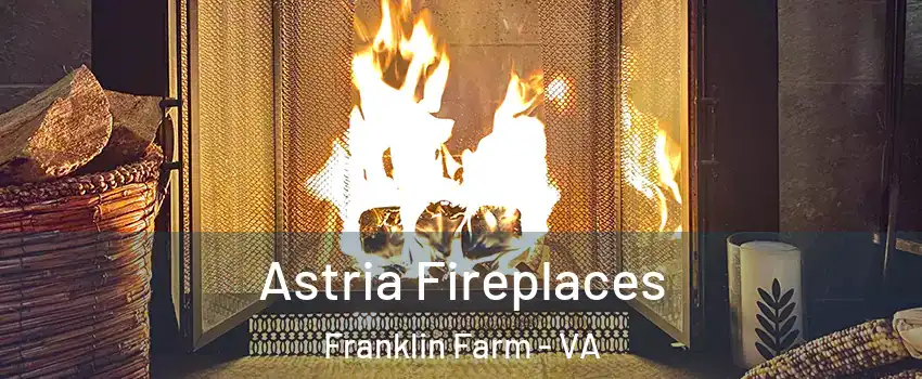  Astria Fireplaces Franklin Farm - VA
