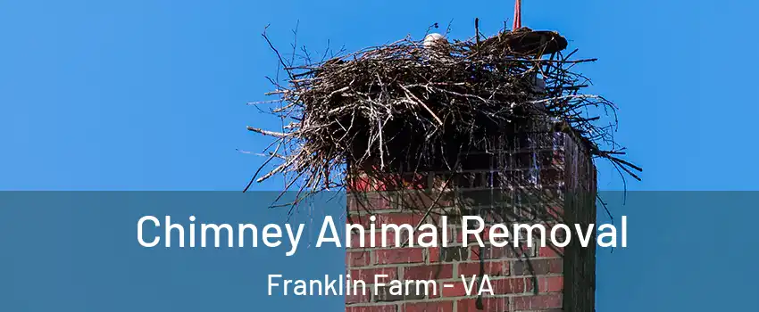  Chimney Animal Removal Franklin Farm - VA