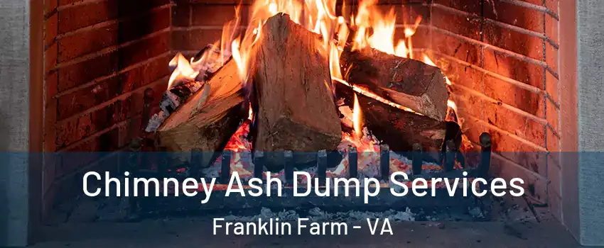  Chimney Ash Dump Services Franklin Farm - VA
