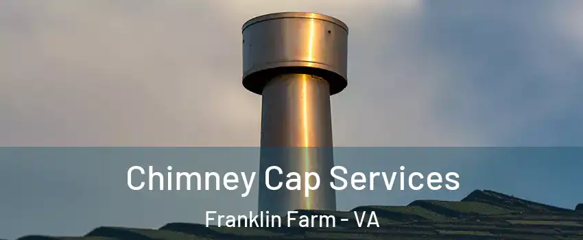  Chimney Cap Services Franklin Farm - VA
