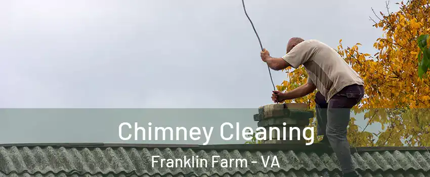  Chimney Cleaning Franklin Farm - VA