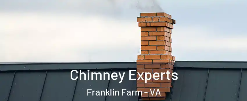  Chimney Experts Franklin Farm - VA