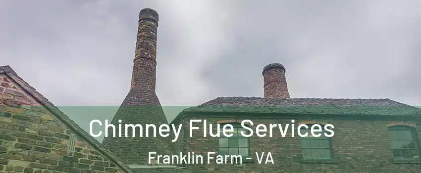  Chimney Flue Services Franklin Farm - VA