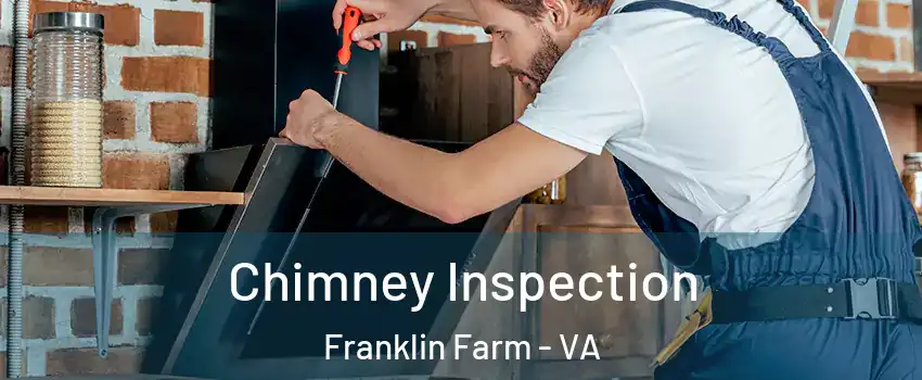  Chimney Inspection Franklin Farm - VA