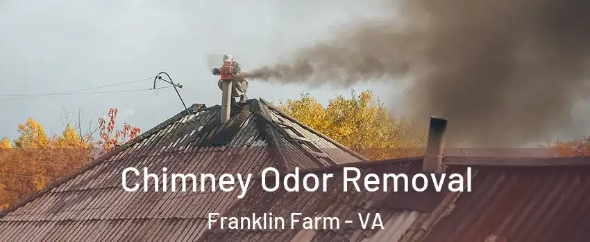  Chimney Odor Removal Franklin Farm - VA