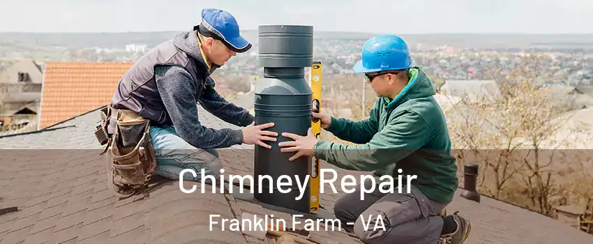  Chimney Repair Franklin Farm - VA