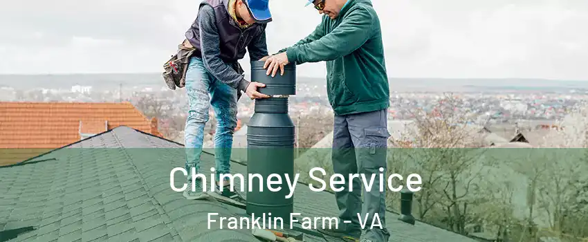  Chimney Service Franklin Farm - VA