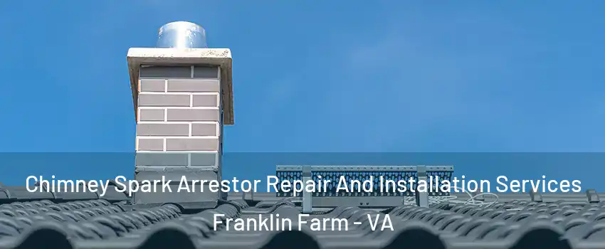  Chimney Spark Arrestor Repair And Installation Services Franklin Farm - VA