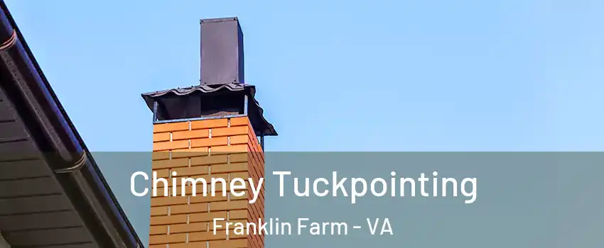  Chimney Tuckpointing Franklin Farm - VA
