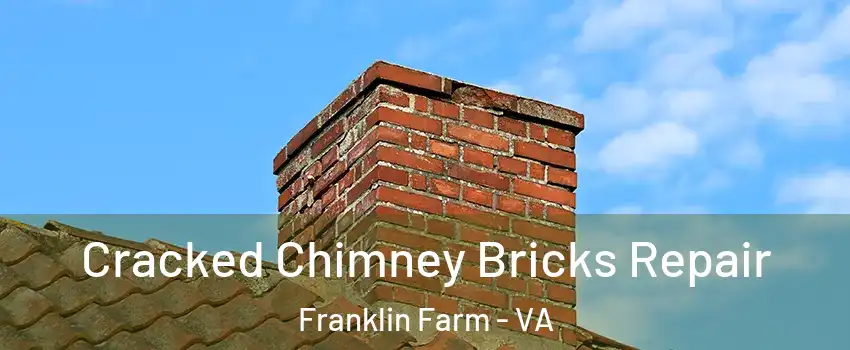  Cracked Chimney Bricks Repair Franklin Farm - VA