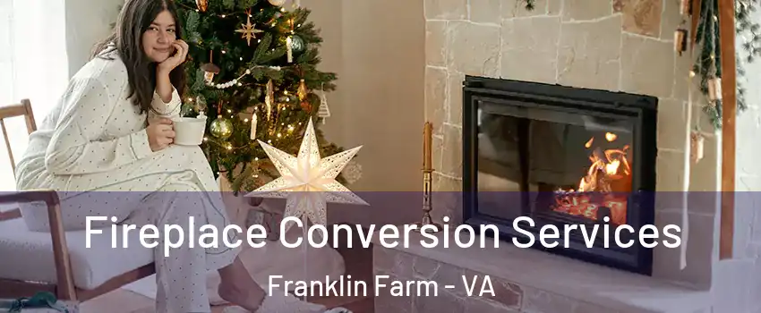  Fireplace Conversion Services Franklin Farm - VA
