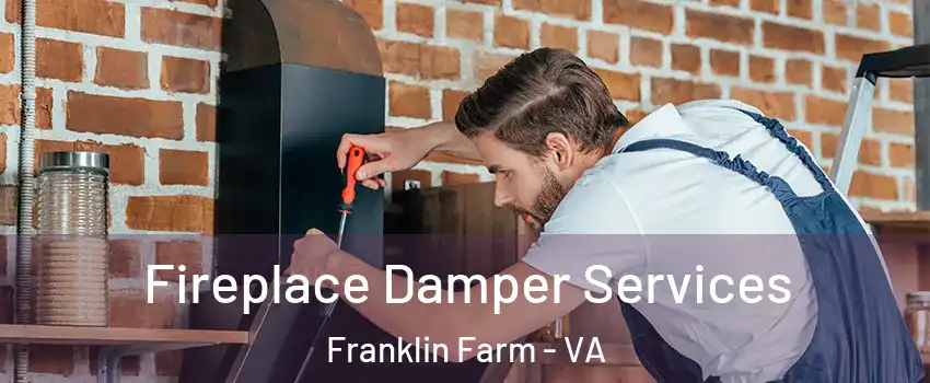  Fireplace Damper Services Franklin Farm - VA