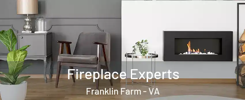  Fireplace Experts Franklin Farm - VA