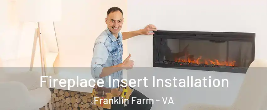  Fireplace Insert Installation Franklin Farm - VA