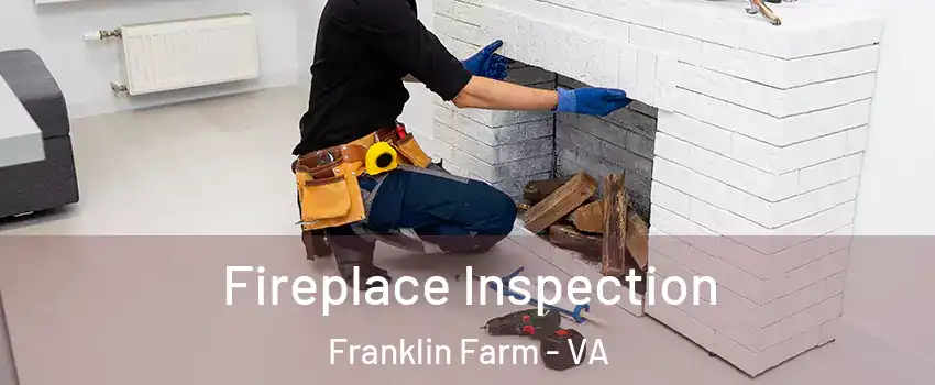  Fireplace Inspection Franklin Farm - VA