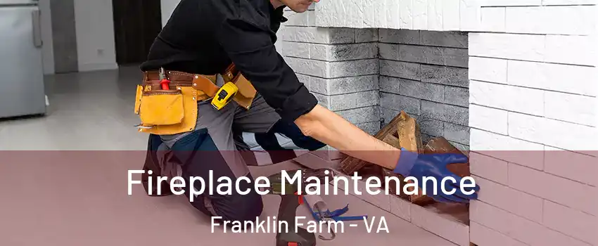  Fireplace Maintenance Franklin Farm - VA