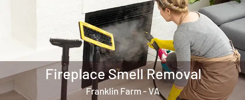  Fireplace Smell Removal Franklin Farm - VA