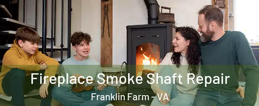  Fireplace Smoke Shaft Repair Franklin Farm - VA