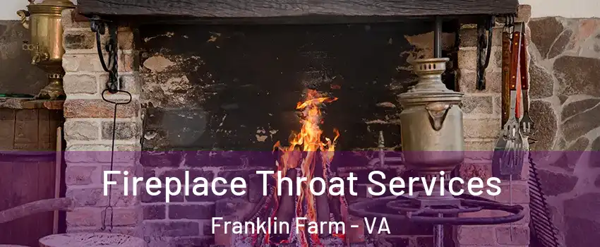  Fireplace Throat Services Franklin Farm - VA