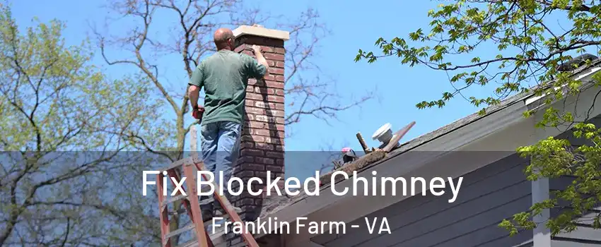  Fix Blocked Chimney Franklin Farm - VA