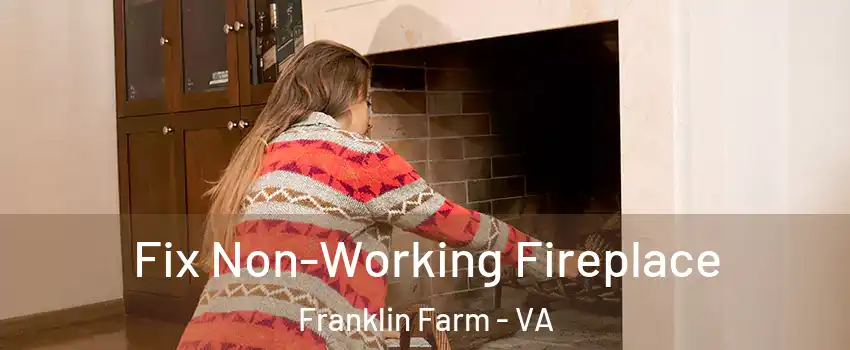  Fix Non-Working Fireplace Franklin Farm - VA