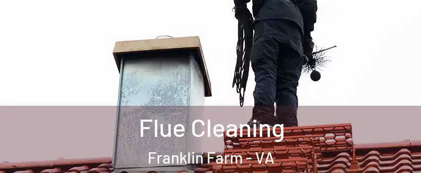  Flue Cleaning Franklin Farm - VA