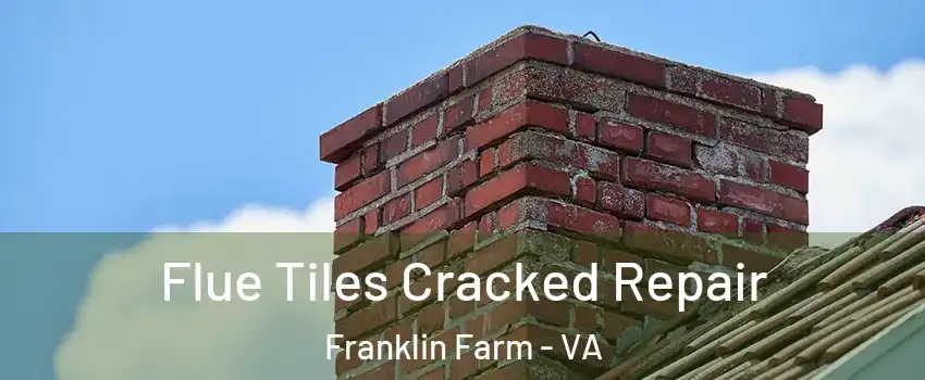  Flue Tiles Cracked Repair Franklin Farm - VA