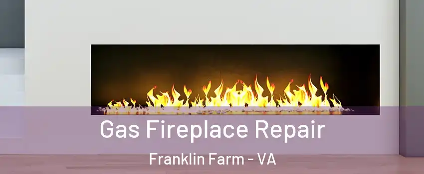  Gas Fireplace Repair Franklin Farm - VA