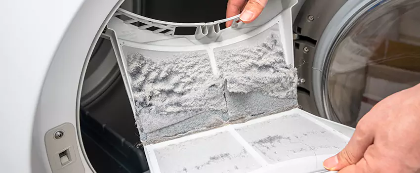 Best Dryer Lint Removal Company in Franklin Farm, Virginia
