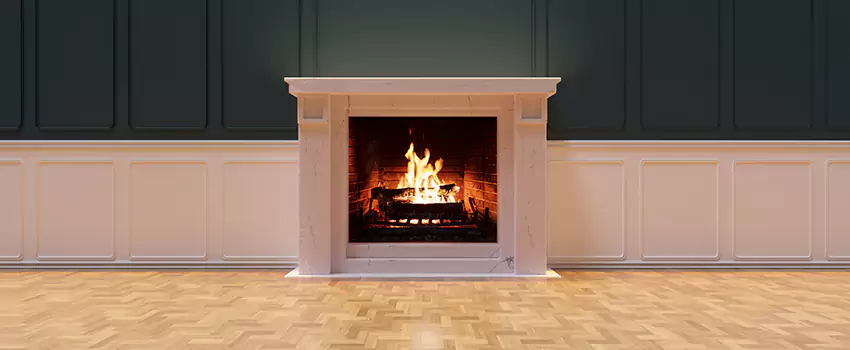 Napoleon Electric Fireplaces Inspection Service in Franklin Farm, Virginia