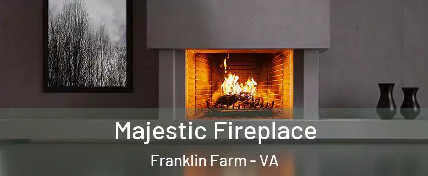  Majestic Fireplace Franklin Farm - VA