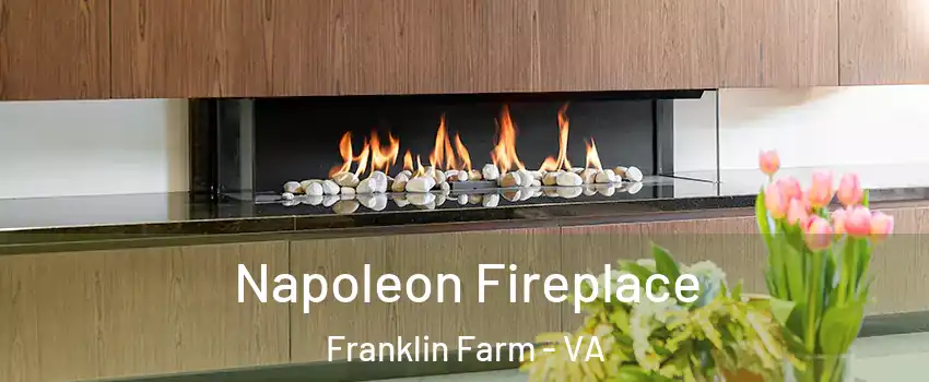  Napoleon Fireplace Franklin Farm - VA