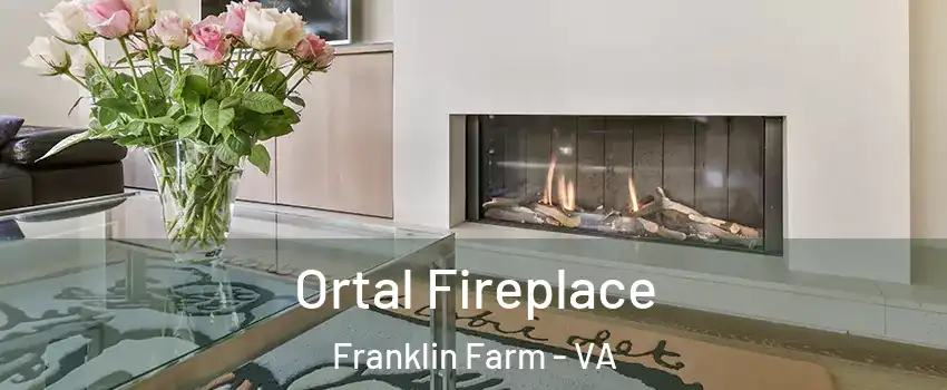  Ortal Fireplace Franklin Farm - VA