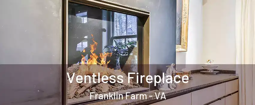  Ventless Fireplace Franklin Farm - VA